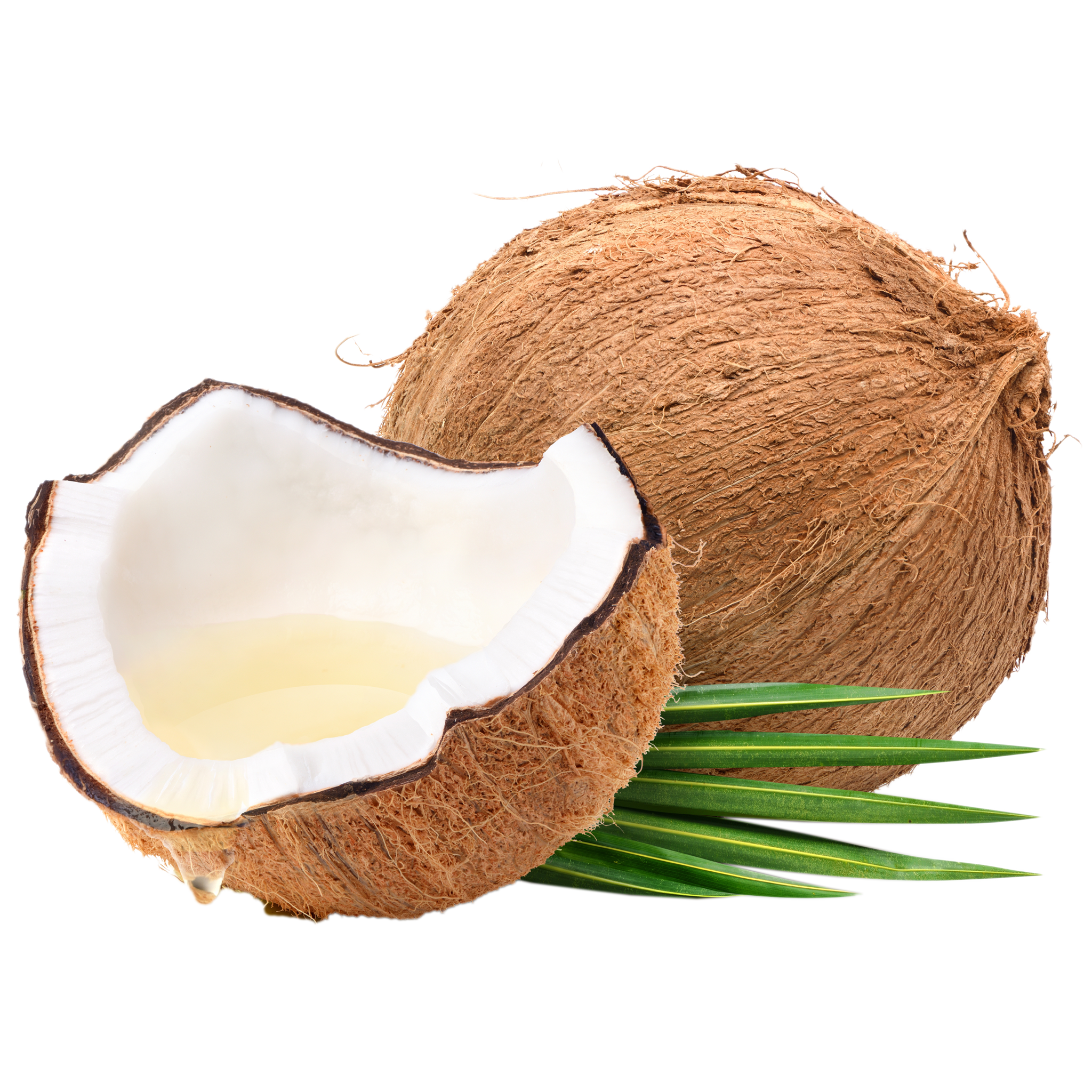 Ulei de cocos