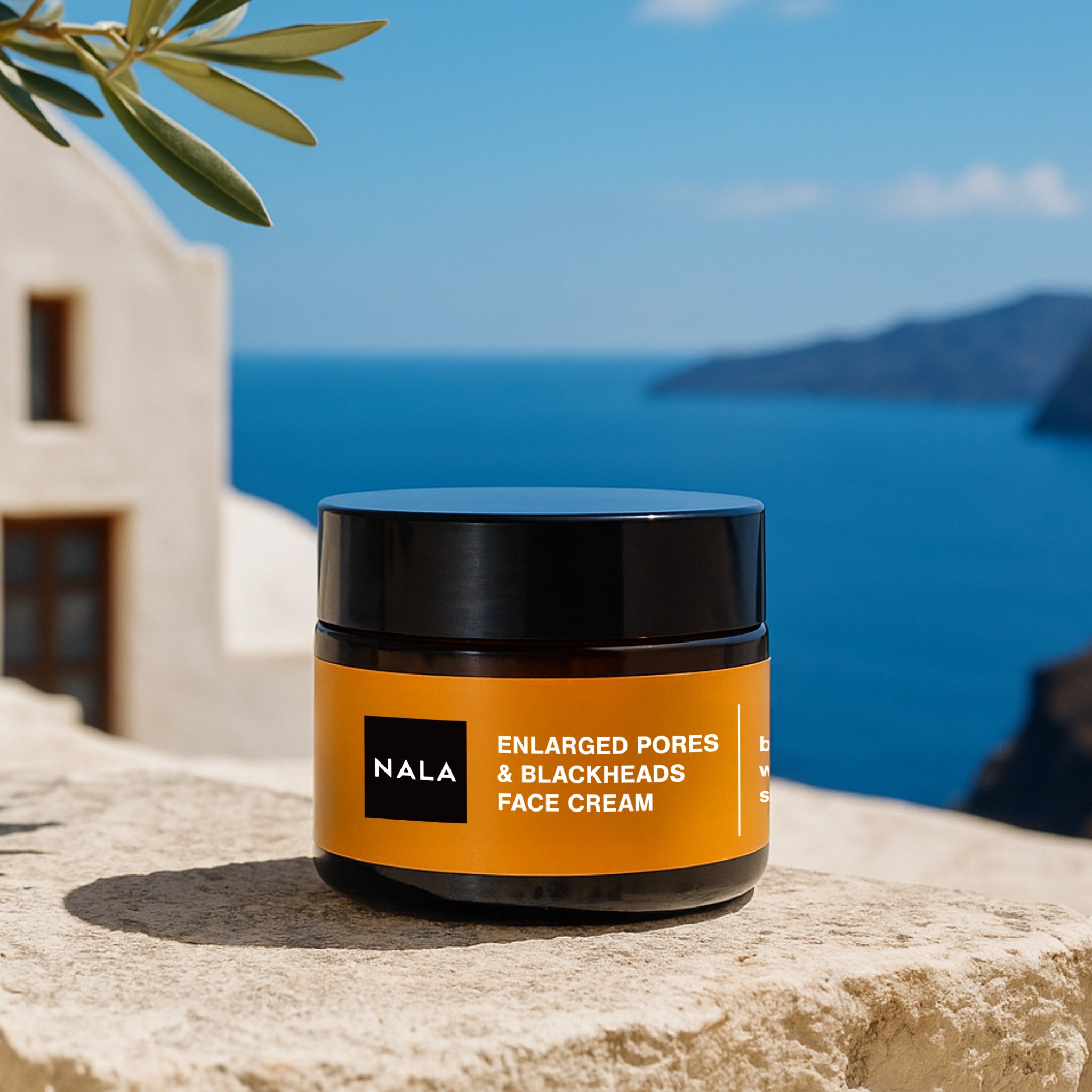 Cremă de față Pori Dilatați &amp; Puncte Negre - Ten Mixt - Cărbune, Bambus, Acid Salicilic și Extract Hamamelis