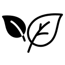 icon arbore de ceai