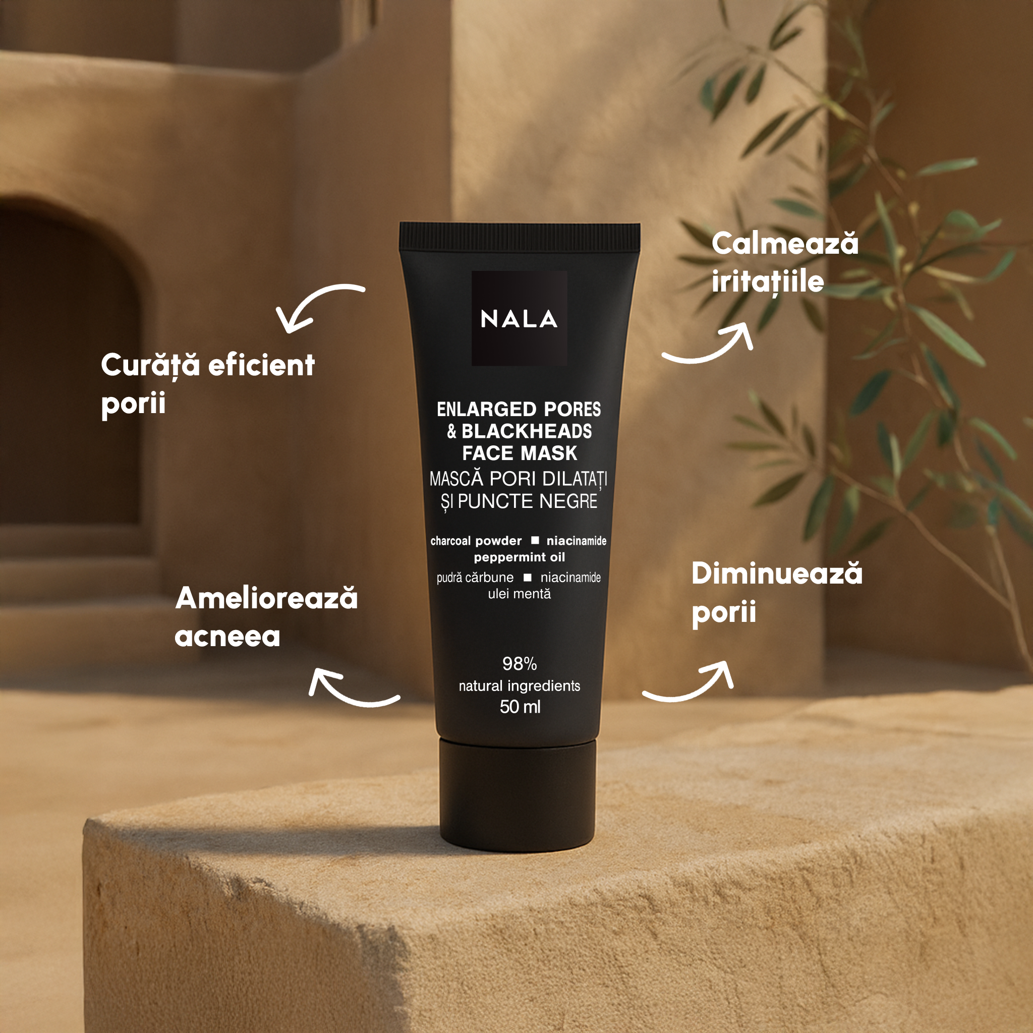 Mască Facială Pori Dilatați și Puncte Negre - Pudră Cărbune, Niacinamide, Ulei Mentă